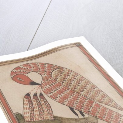 Pelican in it's Piety, c.1800 by American School