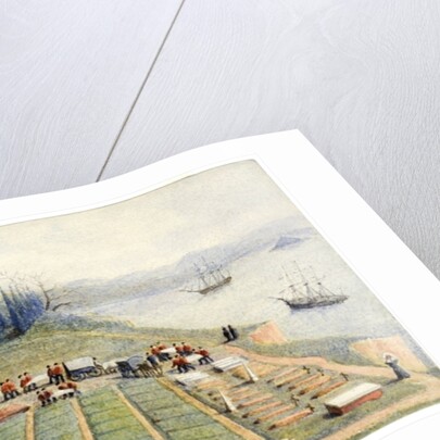 The burial ground at the General Hospital, Scutari, April 1855 by General E.W. Wray