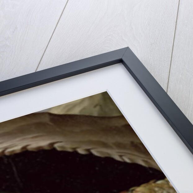 The Descent into Limbo, c.1440-44 by Master of the Osservanza