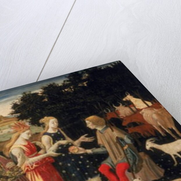 The Judgement of Paris, c.1480 by Master of the Argonaut Panels