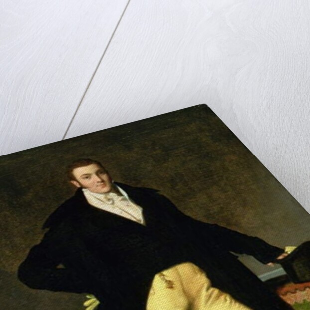 Portrait of Joseph-Antoine de Nogent, 1815 by Jean Auguste Dominique Ingres