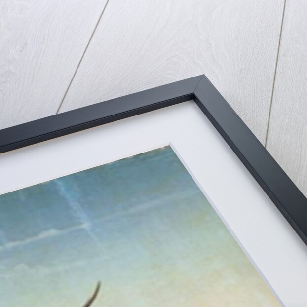 Angel, c.1530 by Lucas van (attr. to) Leyden