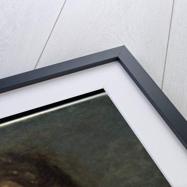 Portrait of Miss Alice Kurtz, 1903 by Thomas Cowperthwait Eakins