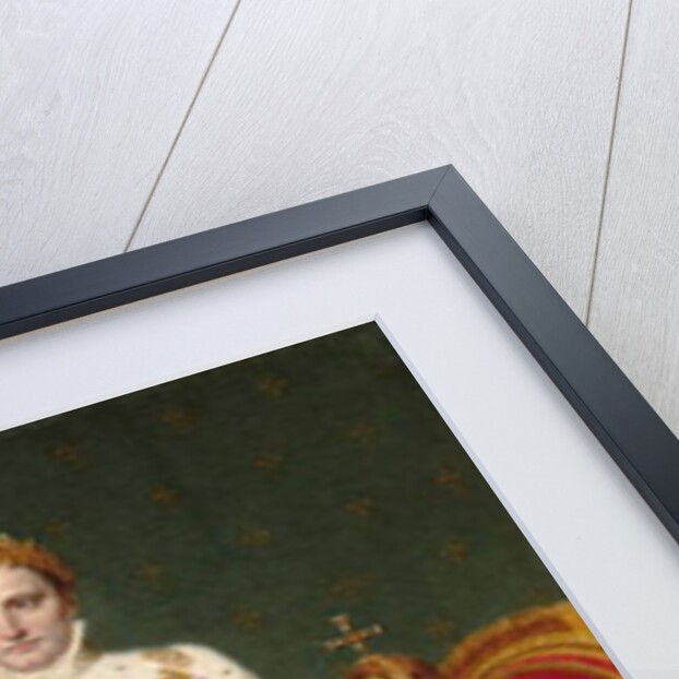 Emperor Napoleon I by Jacques Louis David