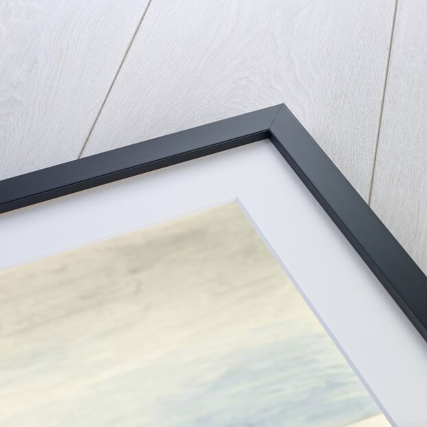 Dante seizing the Traitor Bocca by the Hair by William Blake