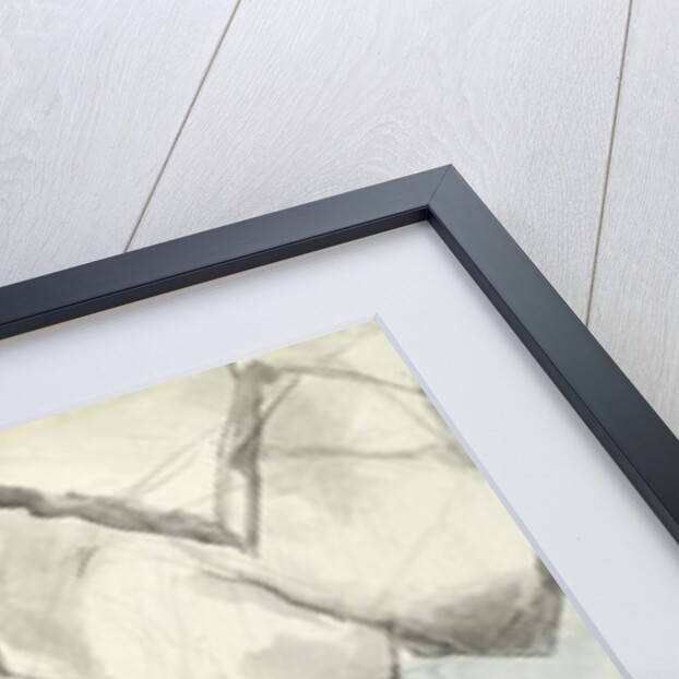 The Complaint of the Giant Nimrod by William Blake