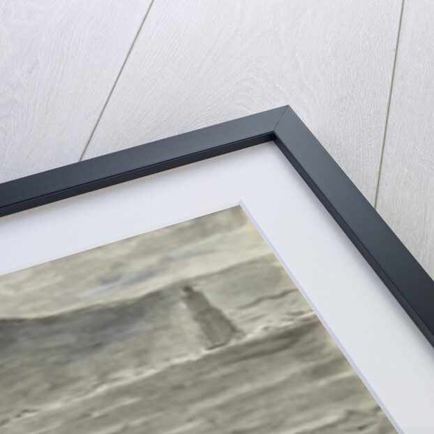 Dante and Virgil in the Skiff of Phlegyas are hailed by Filippo Argenti by William Blake