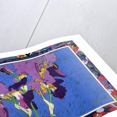 Flag Irises by Frances Treanor