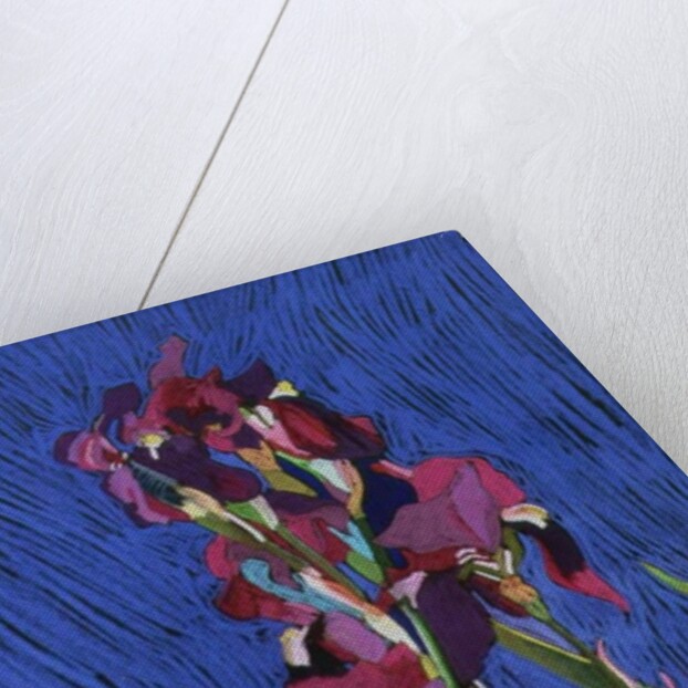 Irises by Frances Treanor
