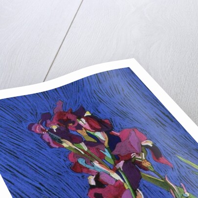 Irises by Frances Treanor