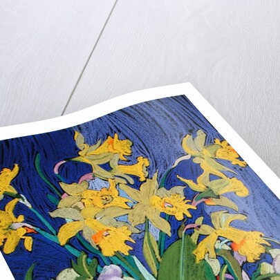 Daffodils with Jug by Frances Treanor