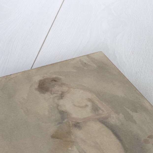 Study for 'The Tall Flower', c.1886 by James Abbott McNeill Whistler