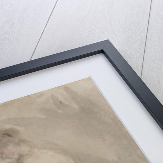 Study for 'The Tall Flower', c.1886 by James Abbott McNeill Whistler