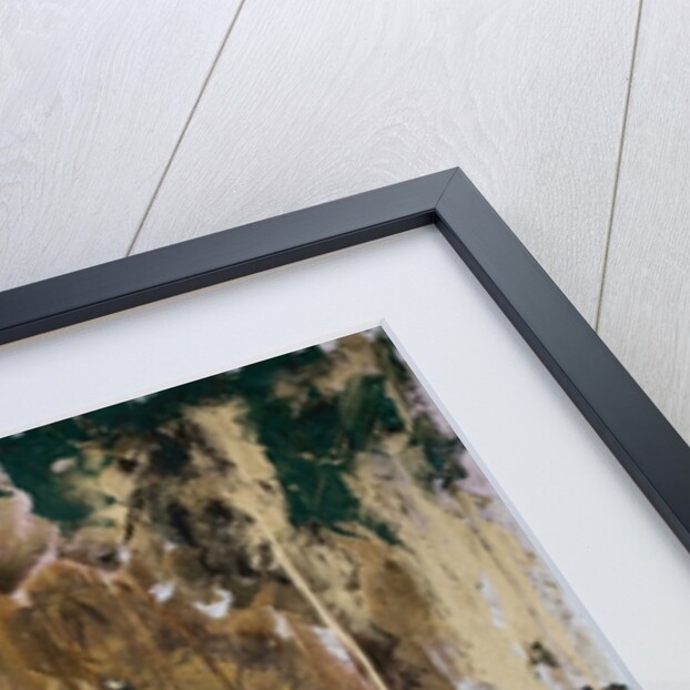 Power, 2007 by Faiza Shaikh