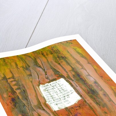 Sacrifice, 2007 by Faiza Shaikh