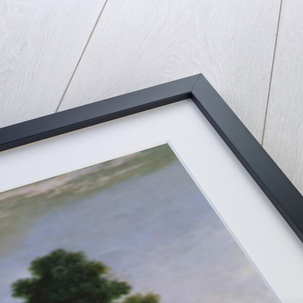 View of the Mall and St. James's Park by Marco Ricci