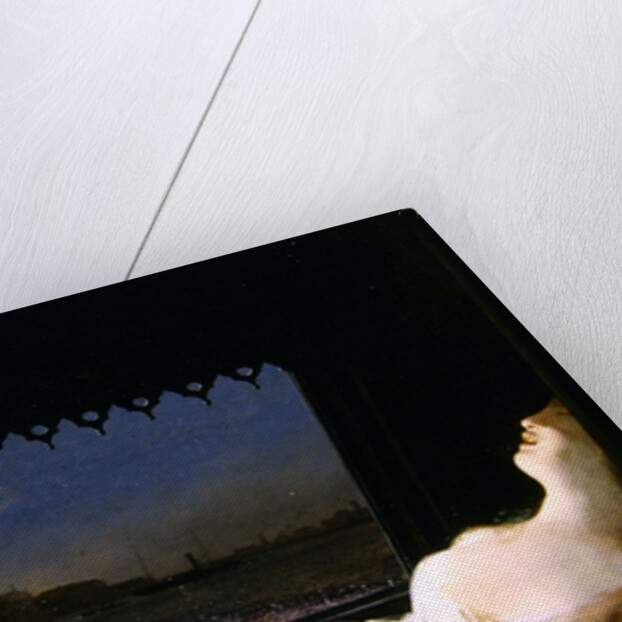 The Fiancee in a Gondola by Antonio Rotta