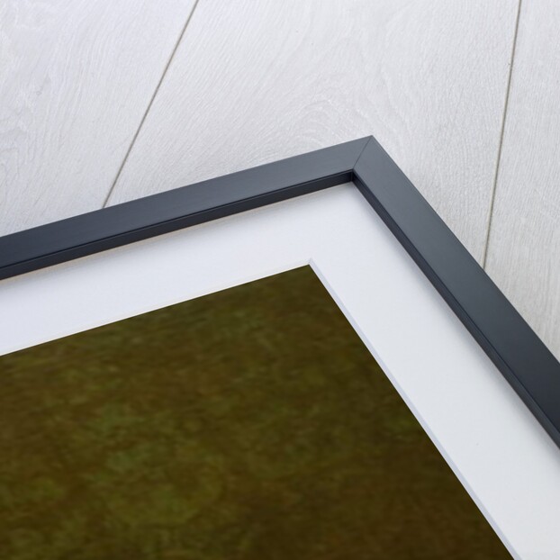 Adriana Giustinian Barbarigo and her Son Gerolamo Ascanio, c.1776-79 by Pietro Longhi