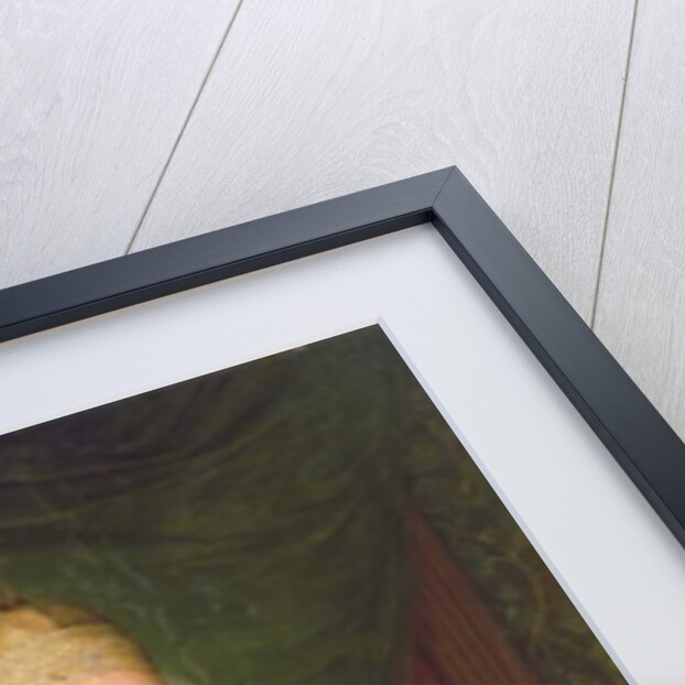 Portrait of a Doge by Rosalba Giovanna Carriera