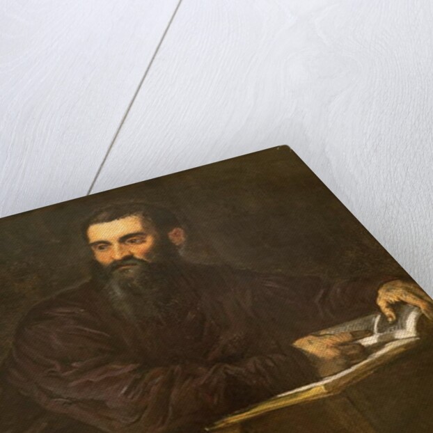 Portrait of a Bearded Man with a Book by Jacopo Robusti Tintoretto
