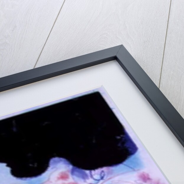 July 4th by George Adamson