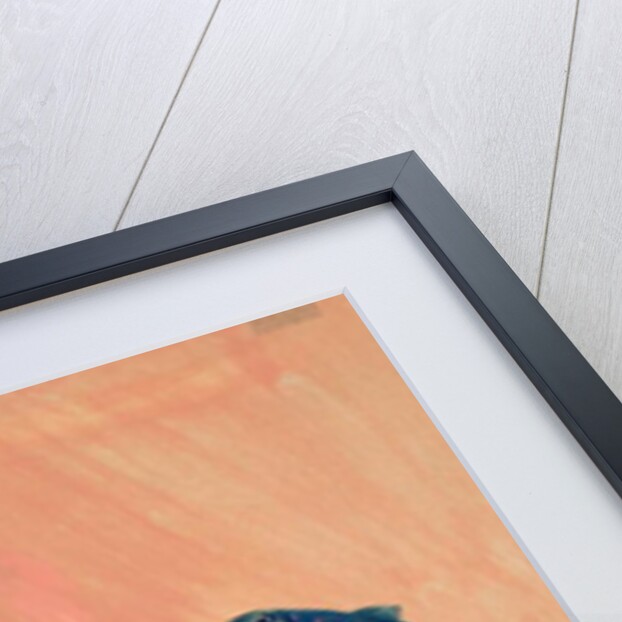 Salmon Leap by George Adamson