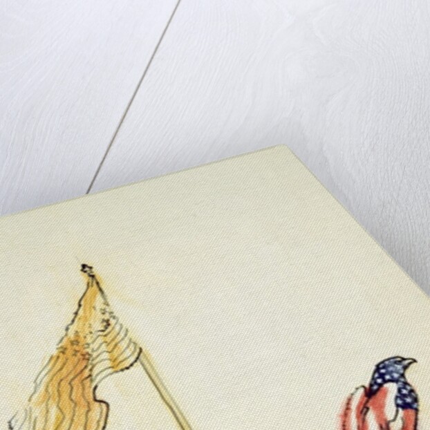 American Eagle acquires US flag colouration, 1985 by George Adamson