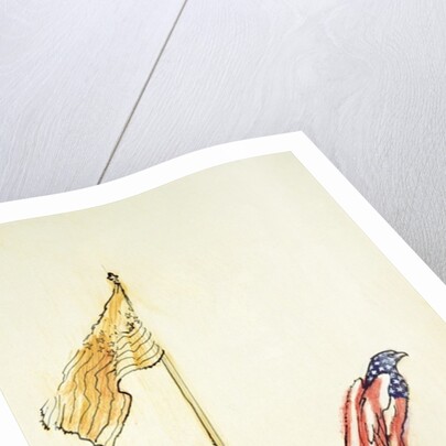 American Eagle acquires US flag colouration, 1985 by George Adamson