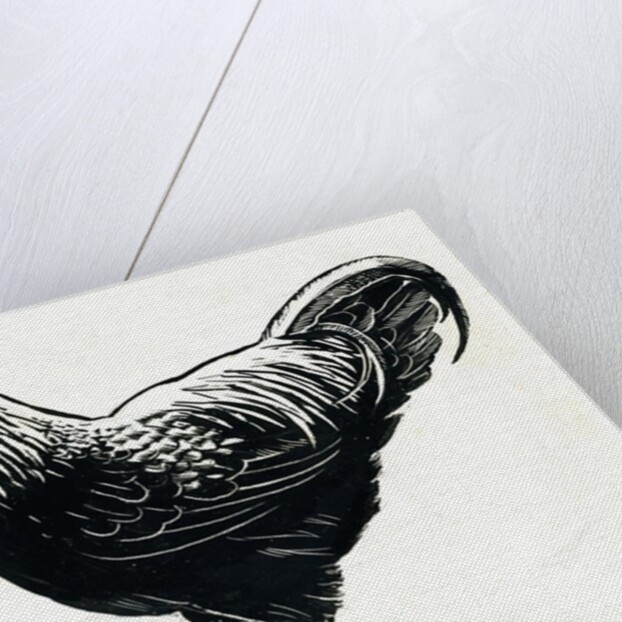 The Hen, 1950s by George Adamson