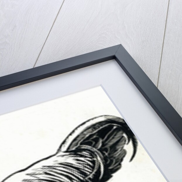 The Hen, 1950s by George Adamson