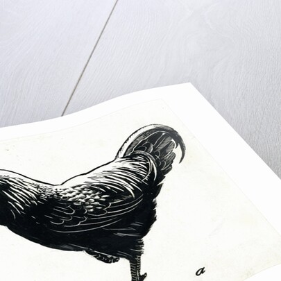 The Hen, 1950s by George Adamson