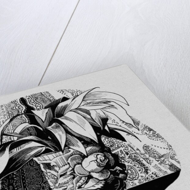 Aspidistra in a Bowl, 1950s by George Adamson