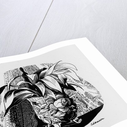 Aspidistra in a Bowl, 1950s by George Adamson