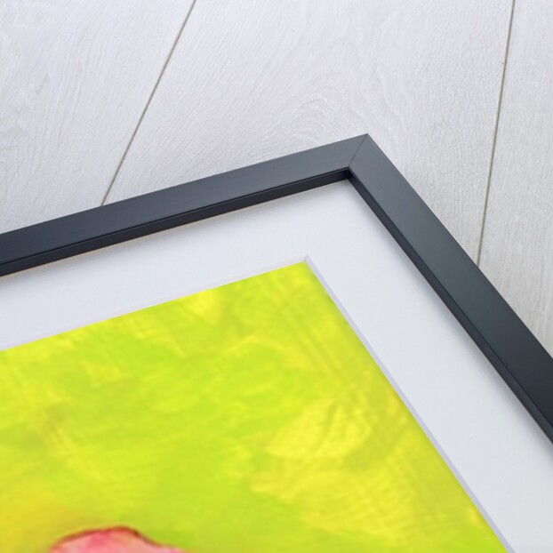 Bright Rose, 1980s by George Adamson