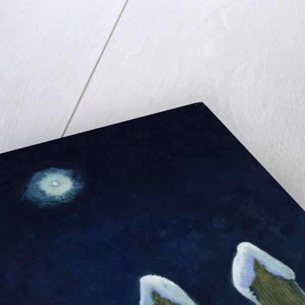 Moonlit Snowy Fence, 1970s by George Adamson