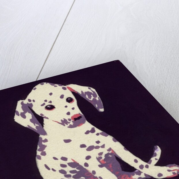 Dalmation Puppy, 1950s by George Adamson