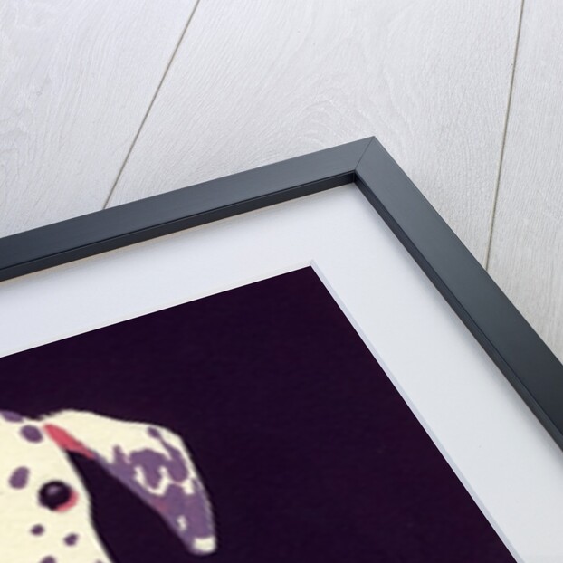 Dalmation Puppy, 1950s by George Adamson