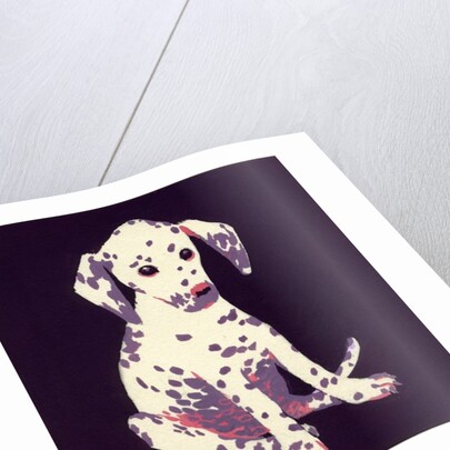 Dalmation Puppy, 1950s by George Adamson