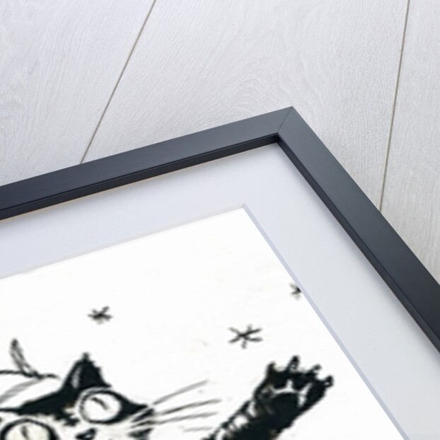 Puss in boots by George Adamson