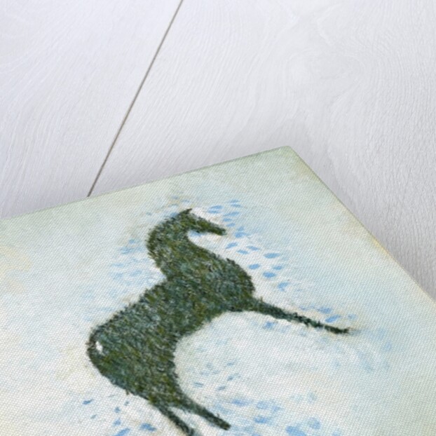 Not a white horse by George Adamson