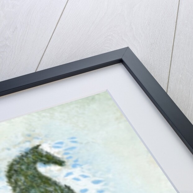 Not a white horse by George Adamson