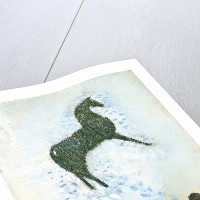 Not a white horse by George Adamson