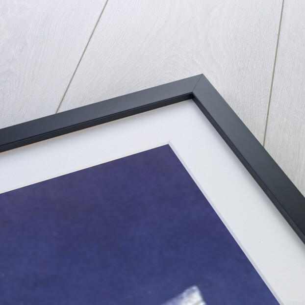 Forget-Me-Knot, by George Adamson