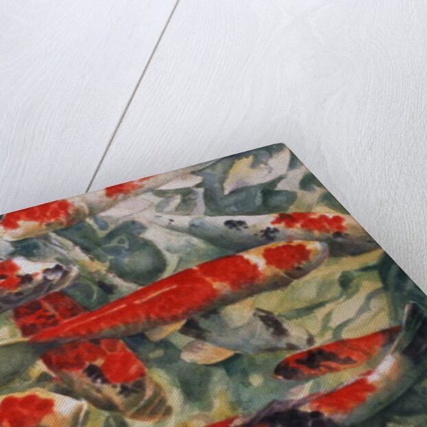 Koi Carp by Gareth Lloyd Ball