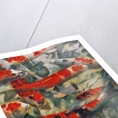 Koi Carp by Gareth Lloyd Ball