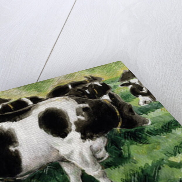 Friesian Cows by Gareth Lloyd Ball