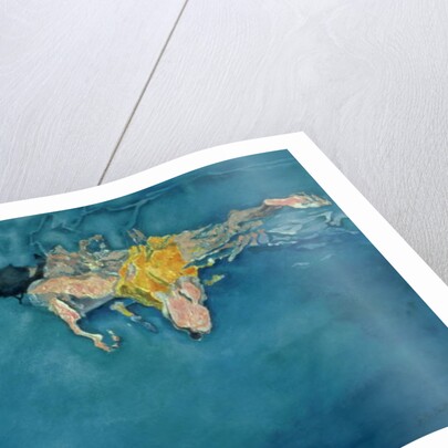 Swimmer in Yellow, 1990 by Gareth Lloyd Ball