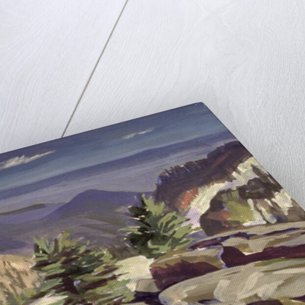 Mountain Vista, at Lassen Volcanic National Park, 2000 by Howard Ganz