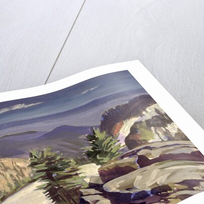 Mountain Vista, at Lassen Volcanic National Park, 2000 by Howard Ganz