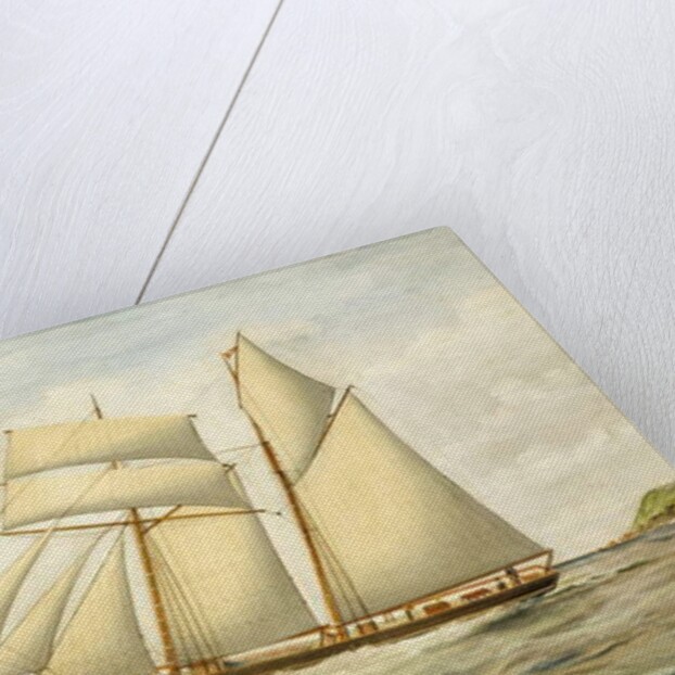 Schooner Saltram, 1890-1900 by Thomas Chidgey